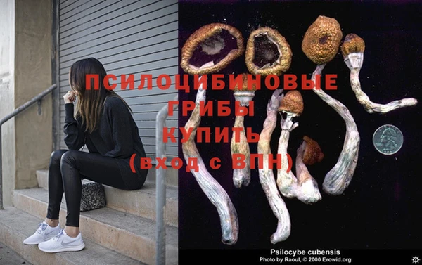 бошки Алзамай