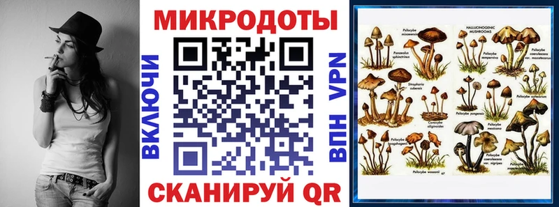 Галлюциногенные грибы мицелий  Катайск 
